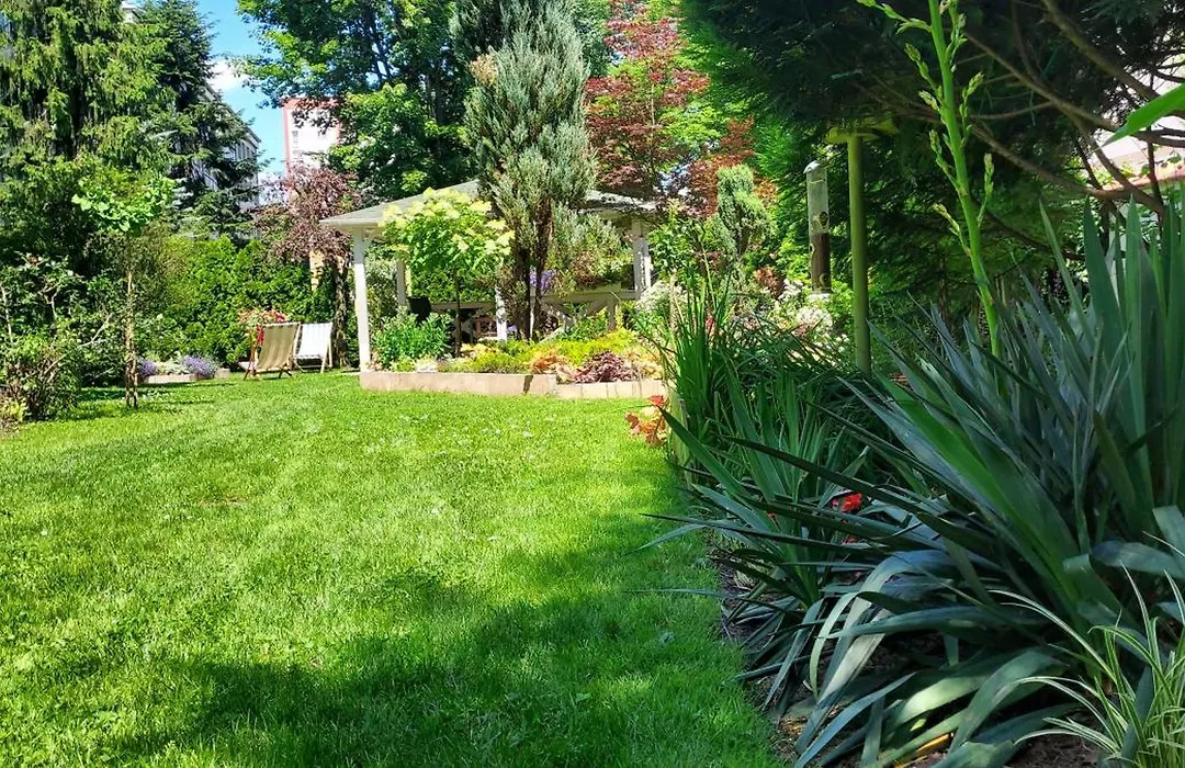 Hidden Gem Garden-1
